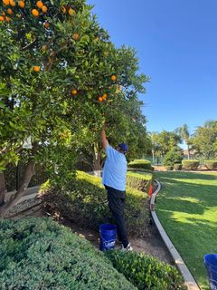 🍊Giving Back, One Orange at a Time🍊