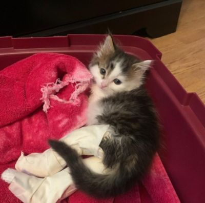 Everyone Deserves a Chance