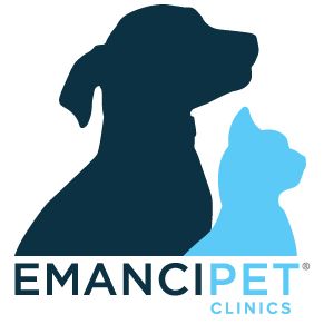 partnerCompanyName