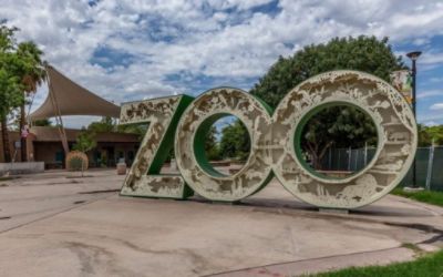 Giving 40 Trees a Place to Grow at Reid Park Zoo