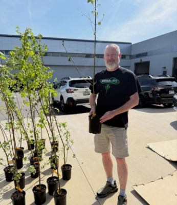 Loves Earth Tree Distribution 