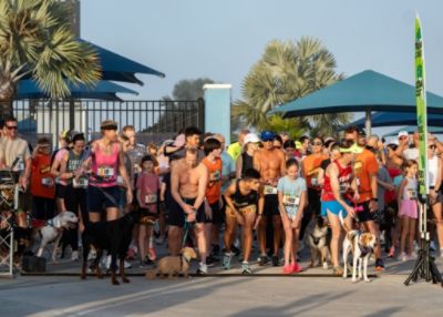 A Community Comes Together for Animals at Run for the Paws 2026