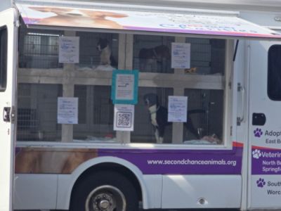 Fur-ever homes for pets at Second Chance