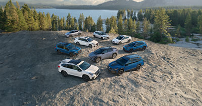 Family of Subaru vehicles parked staggered on cliff with mountainous background.