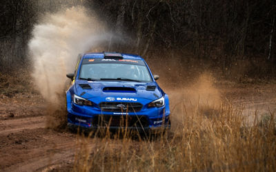 Rally in the 100 Acre Wood Preview