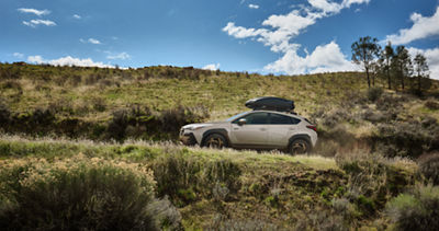 Side profile of a Subaru Crosstrek Hybrid SUV with roof rack storage driving up a grassy hill.