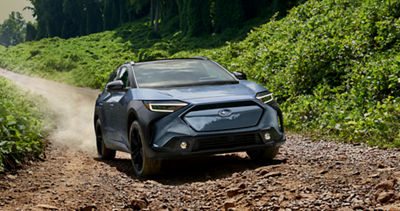 Top Dog-Friendly Road Trips in Pennsylvania