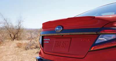 A rear view of a 2025 Subaru WRX. 