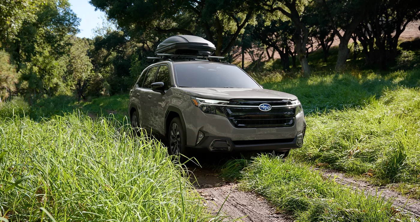A Subaru Forester with a roof box parked on a green trail