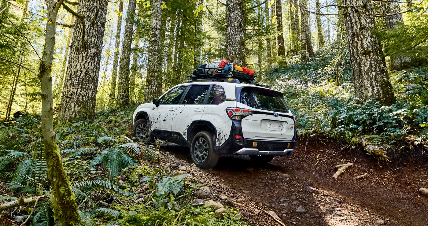 A white Subaru Forester parked on a forest track