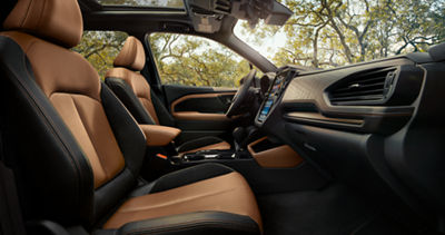 forester-moonroof