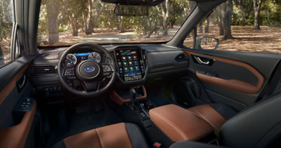 Subaru Interior Cabin