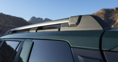 Standard raised roof rails