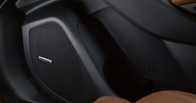 A Harman Kardon surround-sound speaker in the door of a Subaru Ascent.