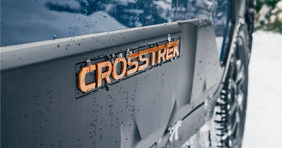 A close-up of the Crosstrek logo badge on a door of the vehicle.