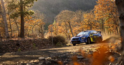Pastrana 2021 American Rally Association Championship