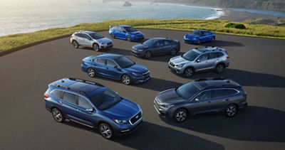Group of 2020 Subaru vehicles parked in surface lot next to body of water