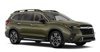 2025 Ascent