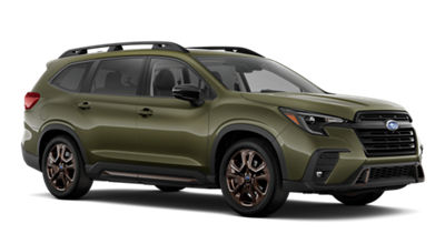 2026 Ascent