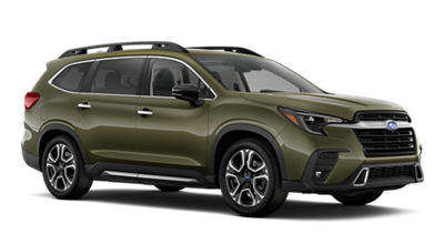 2026 Ascent