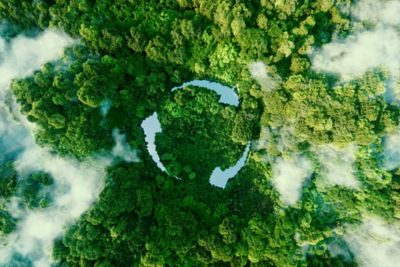 top-down angle of trees with three arrows forming a circle in the center