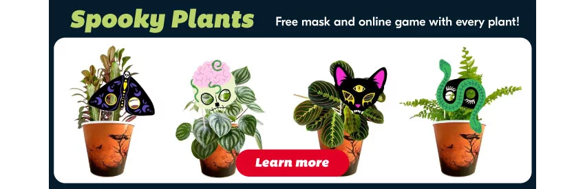 plants