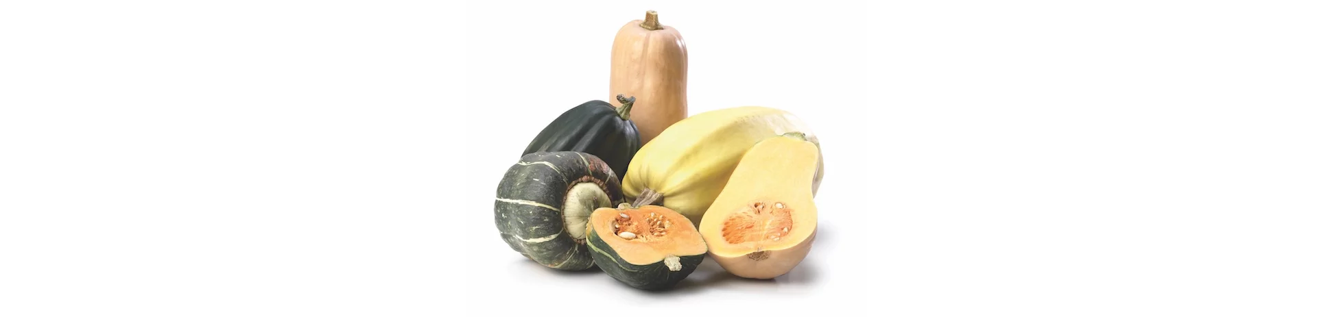 Squash 101: Tips & Tricks