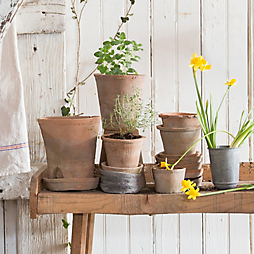 Gardener's Roundtable: Spring Plans