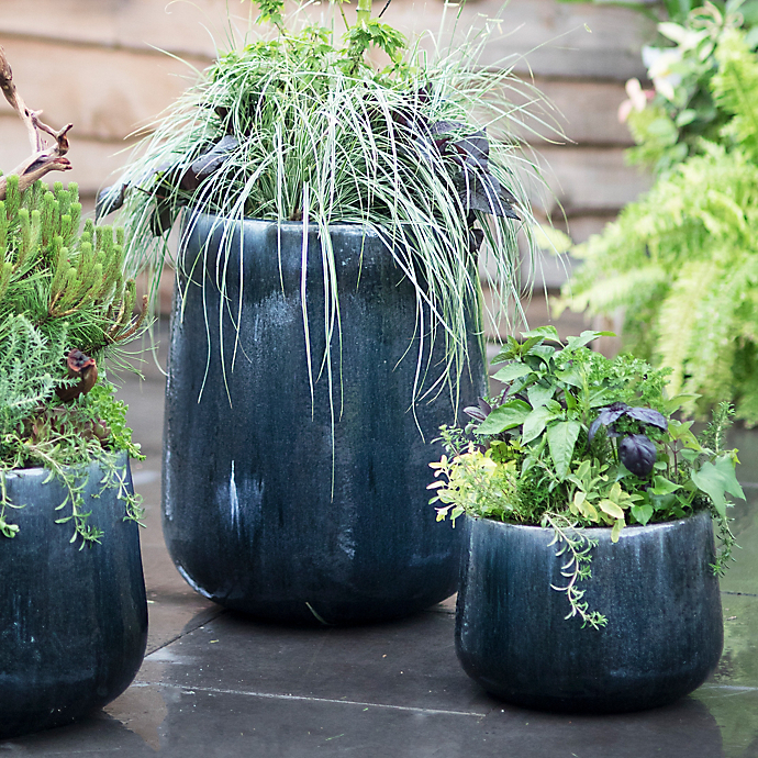 3 Summer Plantings For Father's Day