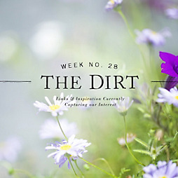 The Dirt | 2014 | week no. 28