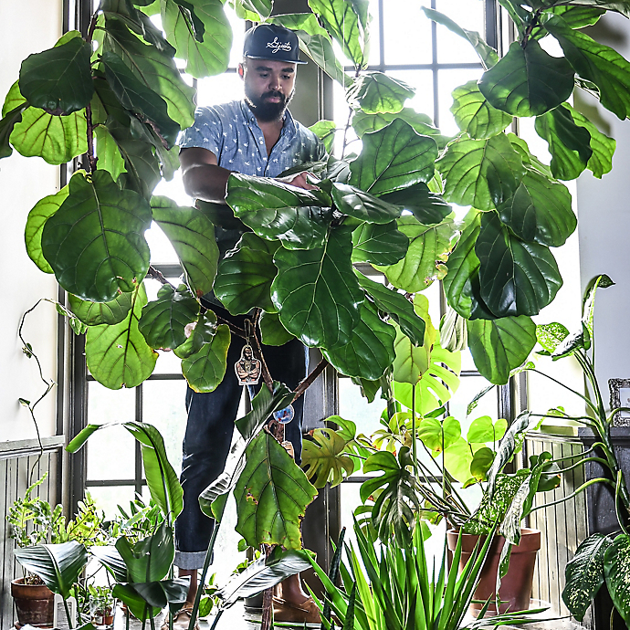 Inside the Home of Plant Stylist Hilton Carter
