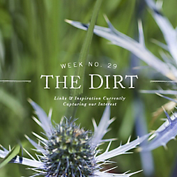 The Dirt | 2014 | week no. 29