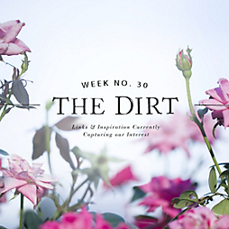 The Dirt | 2014 | week no. 30