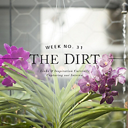 The Dirt | 2014 | week no. 31