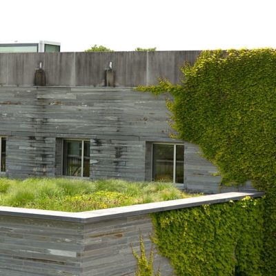 A Visit to the Scott Arboretum Rooftop Garden