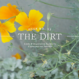 The Dirt | 2014 | week no. 32