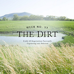 The Dirt | 2014 | week no. 33