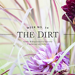 The Dirt | 2014 | week no. 34