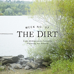 The Dirt | 2014 | week no. 37
