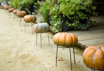 Five Favorites Decorating With Pumpkins Terrain - 