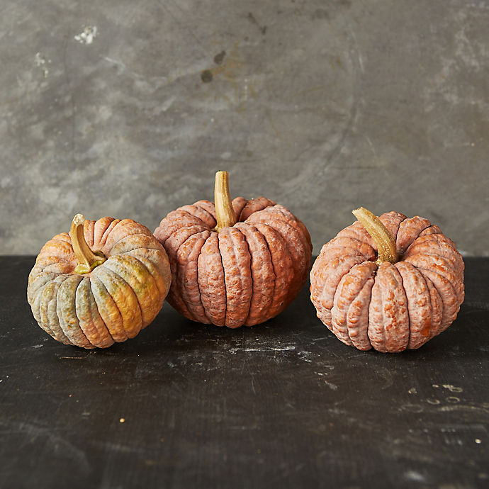 6 Things: Autumn¿s Pumpkin Harvest