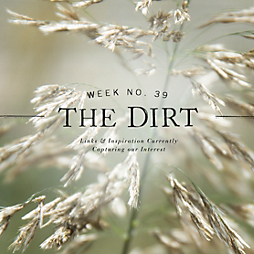 The Dirt | 2014 | week no. 39