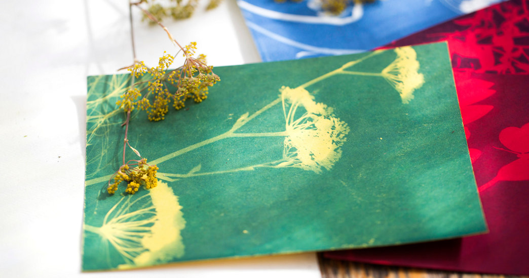 Sunprinting/Blueprint pré-Traités Couleur 100% Coton Tissu 5 15x15cm feuilles