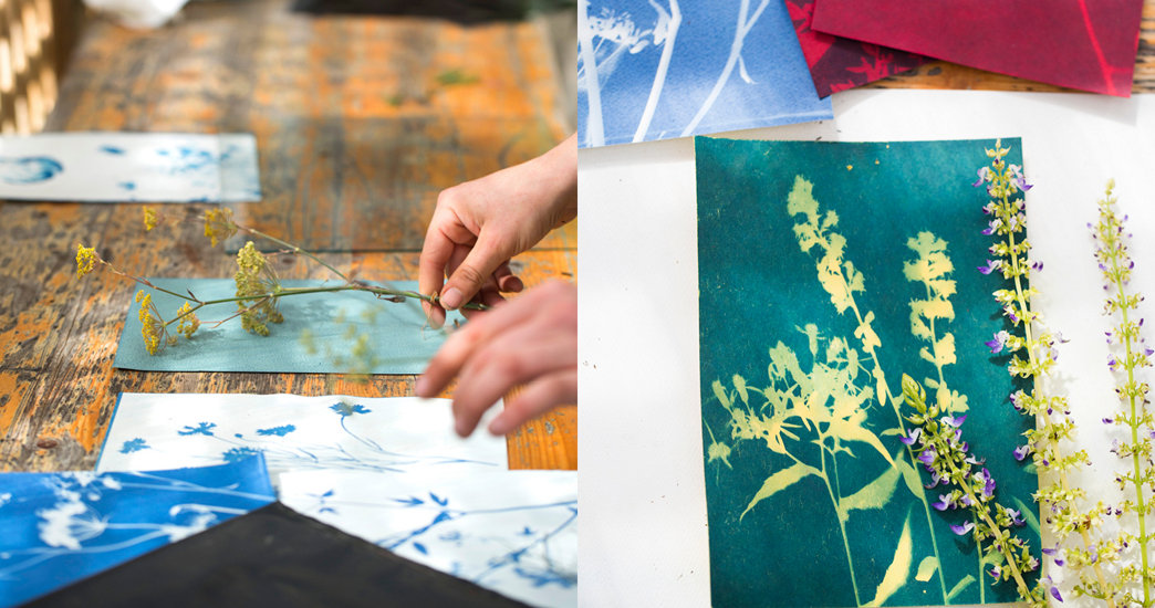 Sunprinting/Blueprint pré-Traités Couleur 100% Coton Tissu 5 15x15cm feuilles