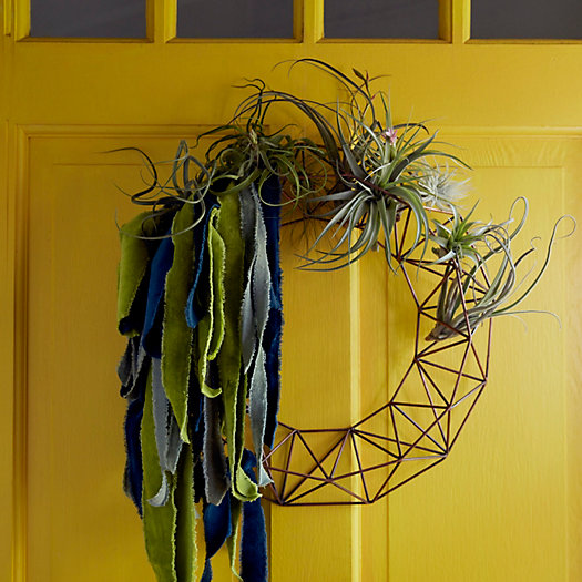 View larger image of Shop the Look: Tillandsia Wreath
