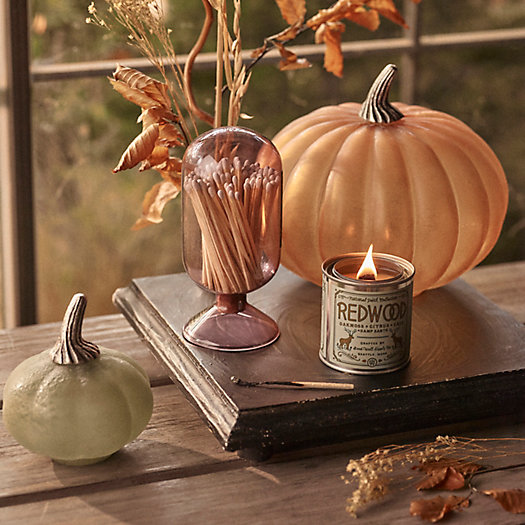 View larger image of Shop the Look: Fall Décor Essentials