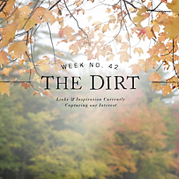 The Dirt | 2014 | week no. 42