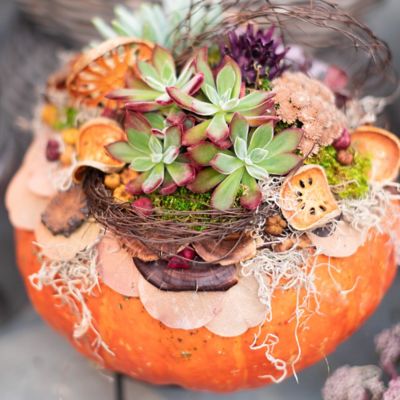 Fall Container Plantings with Design By Terrain
