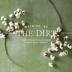 The Dirt | 2014 | week no. 43