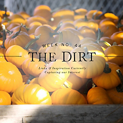 The Dirt | 2014 | week no. 44